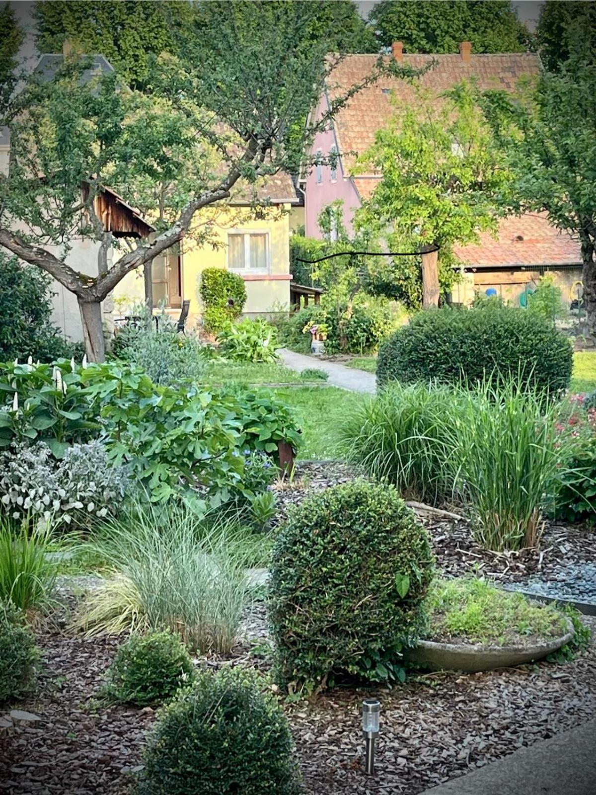 Le Beethoven Villa Colmar Buitenkant foto
